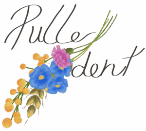 logo Pulledent